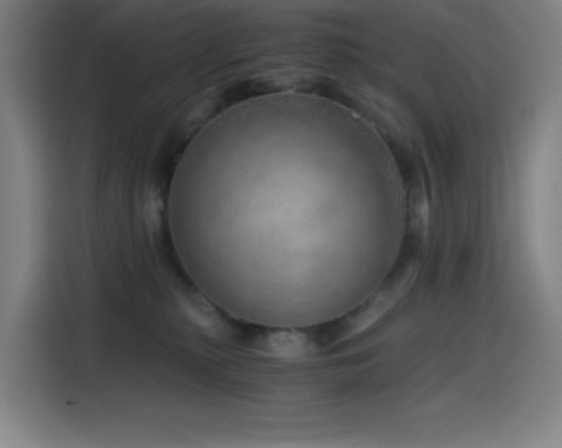 X0000114430279200910161341