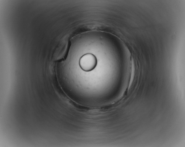 X0000114430280200910161341
