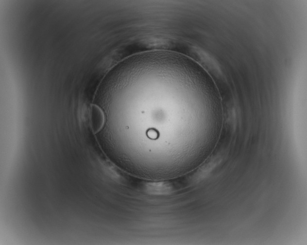X0000114430281200910161341