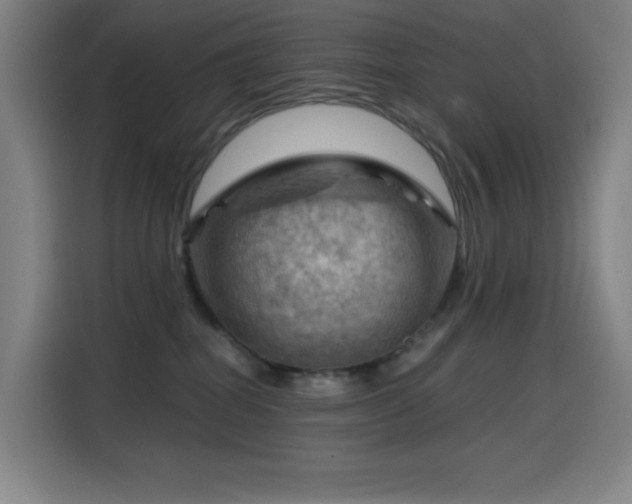 X0000114430282200910161341