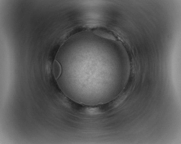 X0000114430283200910161341