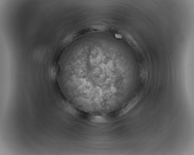 X0000114430285200910161341