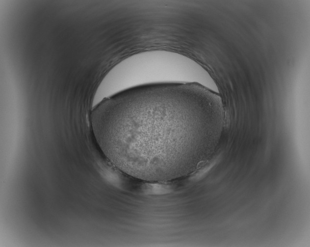 X0000114430286200910161341