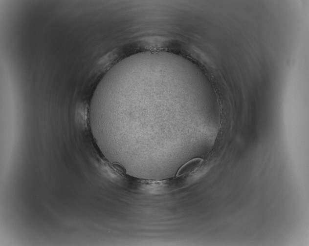 X0000114430288200910161341