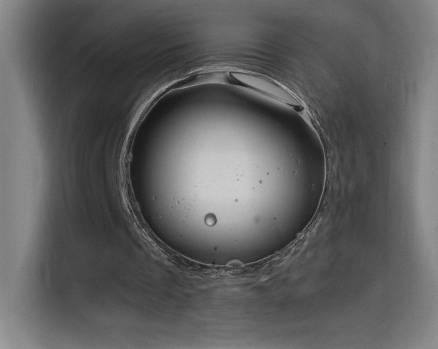 X0000114430289200910161341