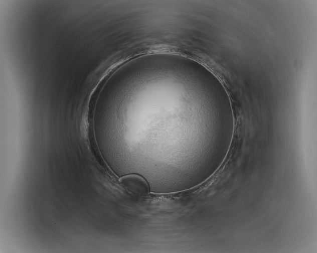 X0000114430290200910161341