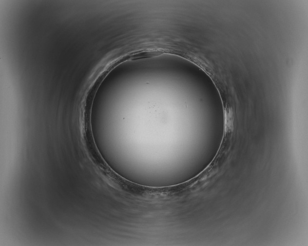 X0000114430291200910161341