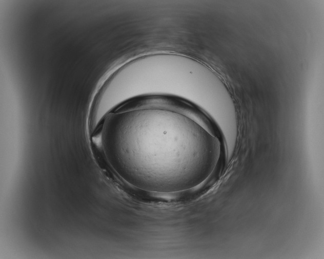 X0000114430292200910161341