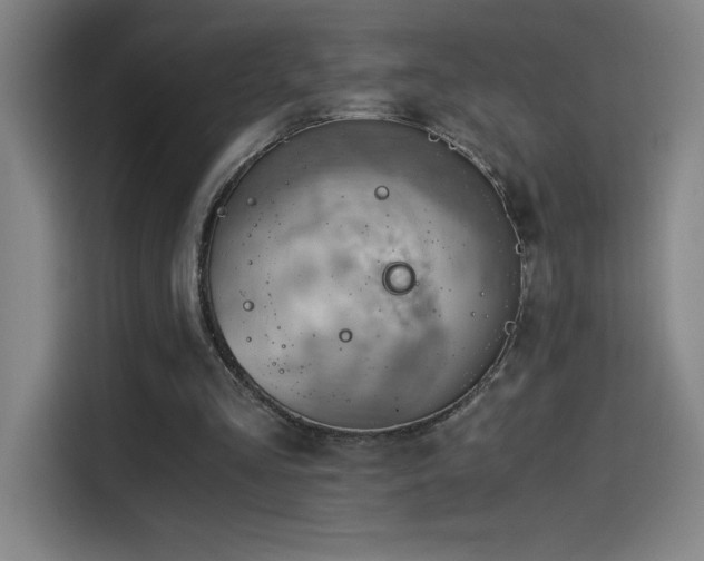X0000114430293200910161341