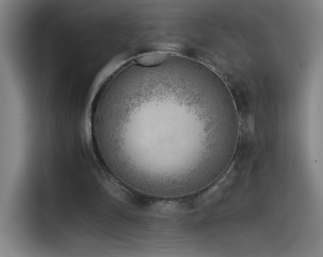 X0000114430294200910161340
