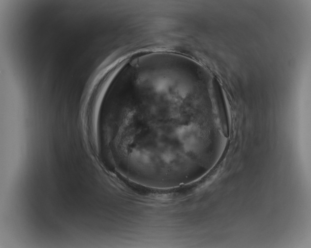 X0000114430295200910161340