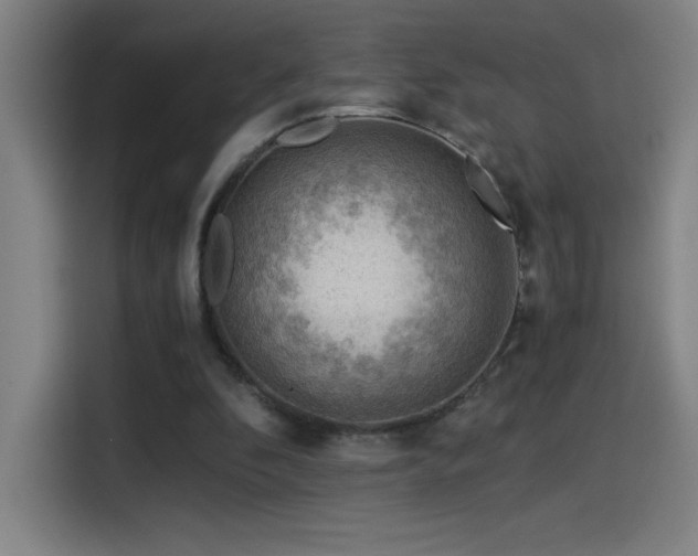 X0000114430296200910161340
