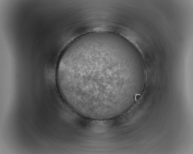 X0000114430297200910161340