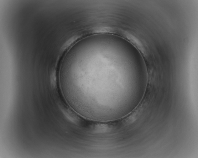 X0000114430298200910161340