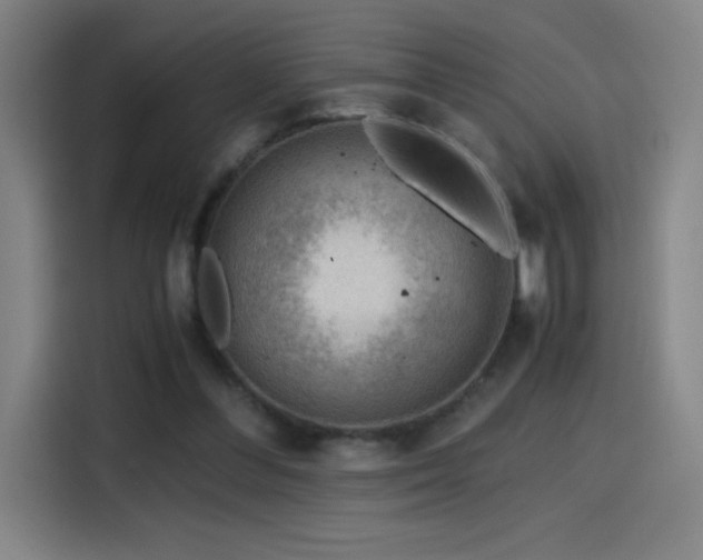 X0000114430300200910161340