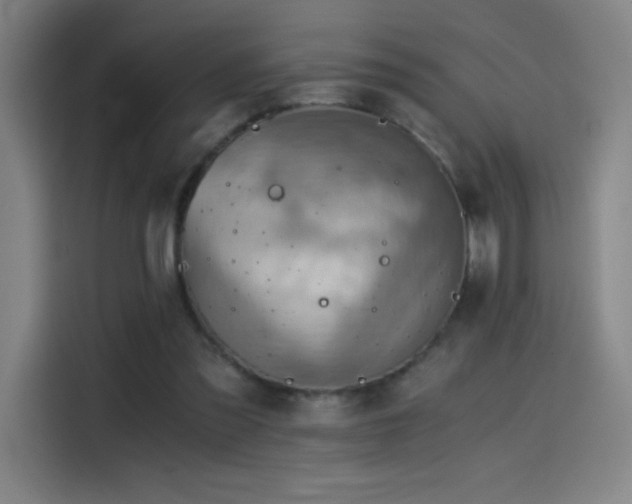 X0000114430301200910161340