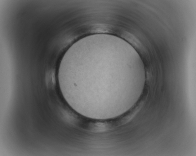 X0000114430302200910161340