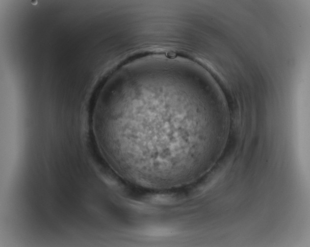 X0000114430303200910161340