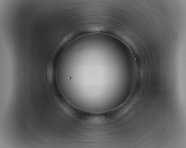 X0000114430304200910161340
