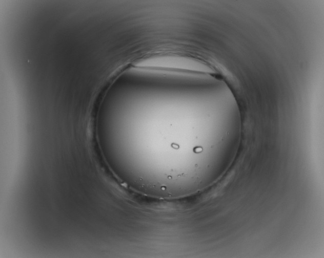 X0000114430305200910161340