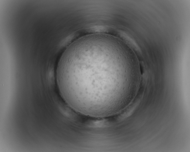 X0000114430306200910161340