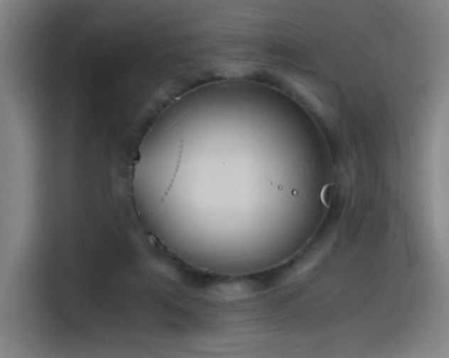 X0000114430307200910161340