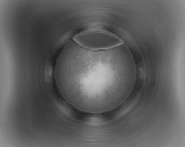 X0000114430308200910161340