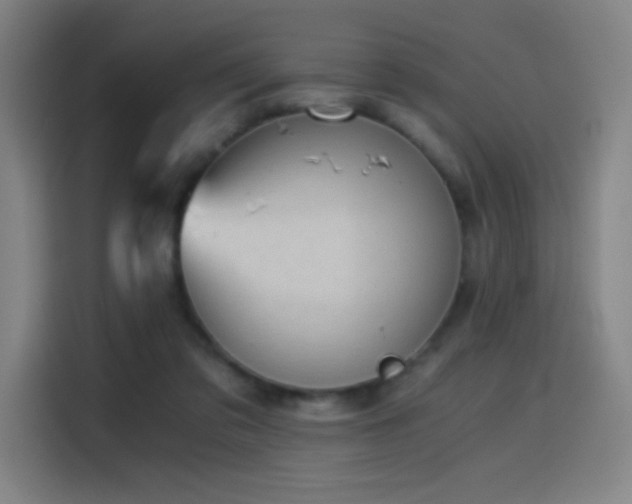 X0000114430309200910161340
