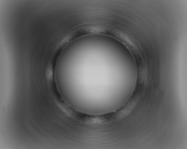 X0000114430310200910161340