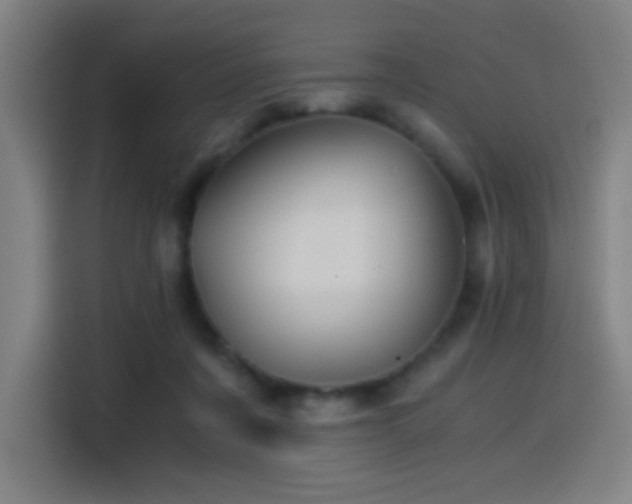 X0000114430311200910161340