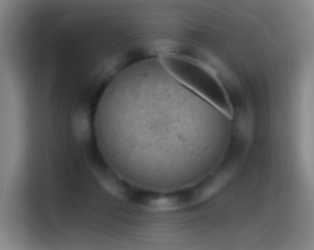 X0000114430312200910161340