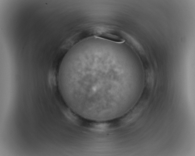 X0000114430313200910161340