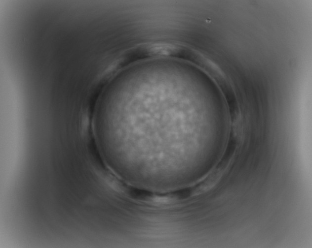 X0000114430314200910161340