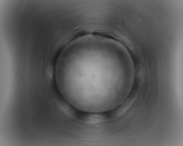 X0000114430315200910161340