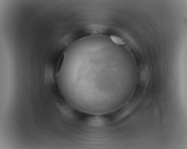 X0000114430316200910161340