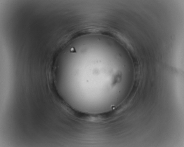 X0000114430317200910161340