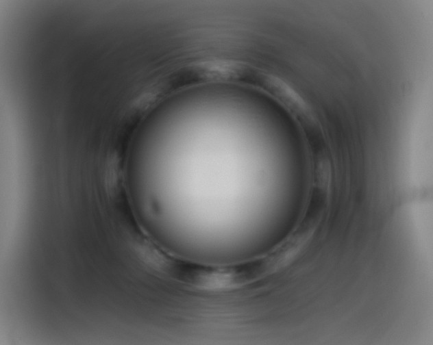 X0000114430318200910161340