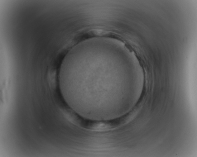 X0000114430319200910161340