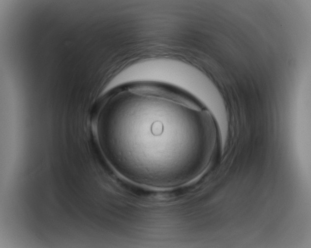 X0000114430320200910161340