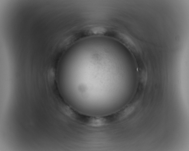 X0000114430321200910161340
