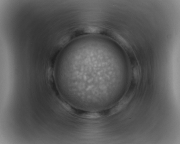 X0000114430322200910161340