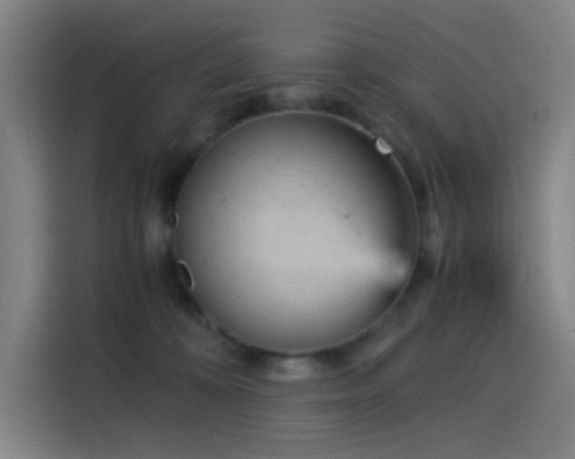 X0000114430324200910161340