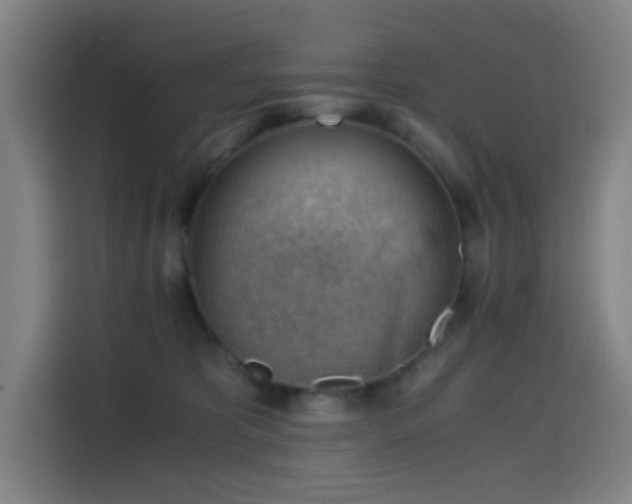 X0000114430325200910161340