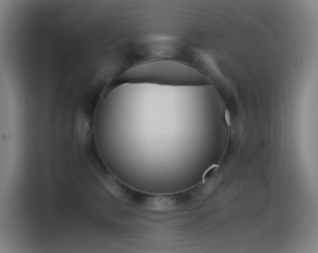 X0000114430327200910161340