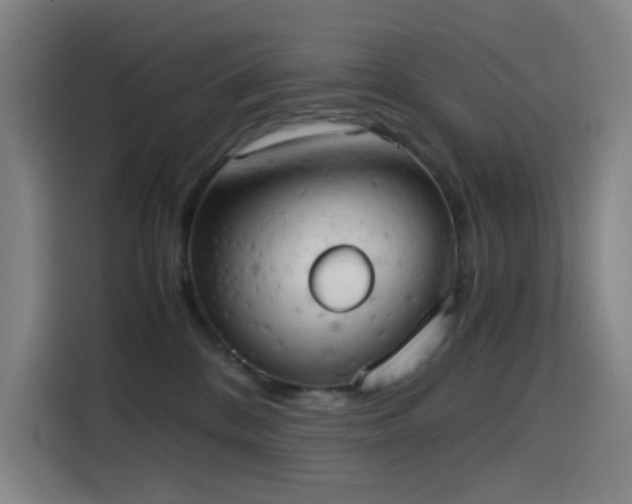 X0000114430328200910161340