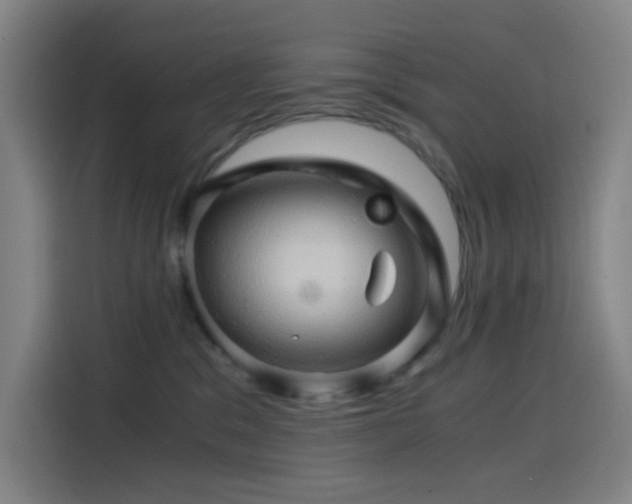 X0000114430329200910161340