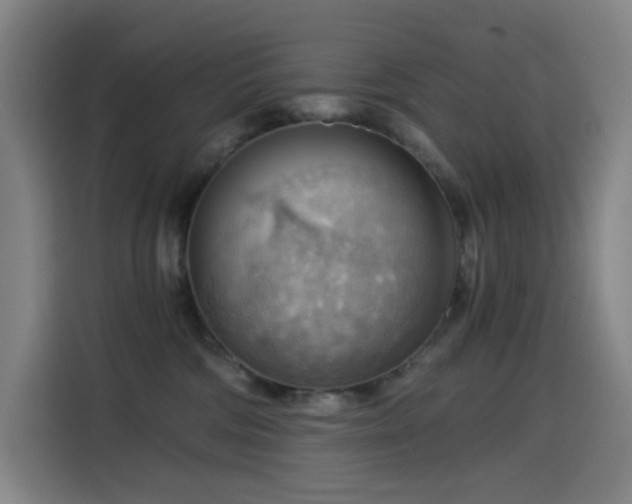 X0000114430330200910161340