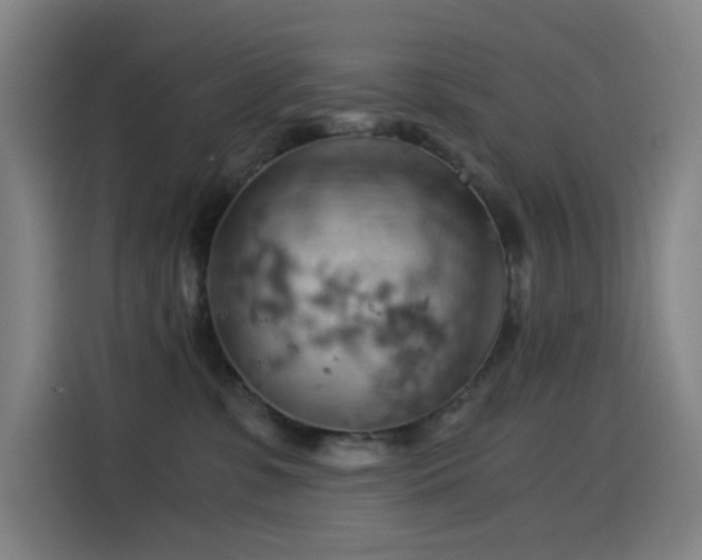 X0000114430331200910161340