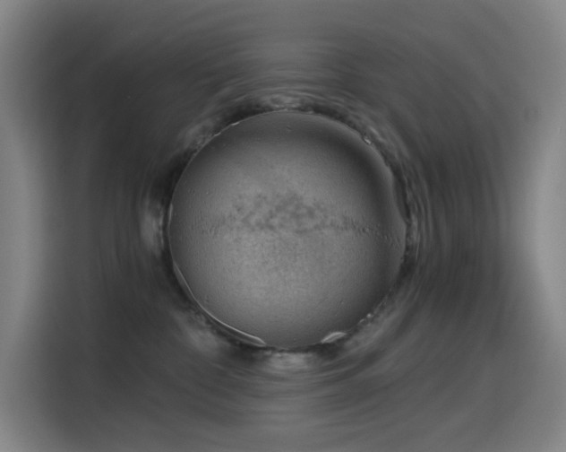 X0000114430332200910161340