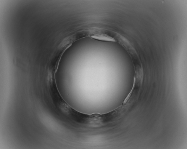 X0000114430333200910161340